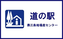 道の駅  燕三条地場産センター